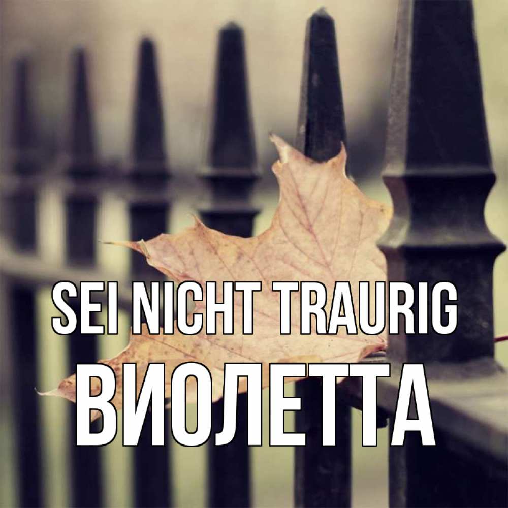 Открытка на каждый день с именем, Виолетта Sei nicht traurig лист клена Прикольная открытка с пожеланием онлайн скачать бесплатно 