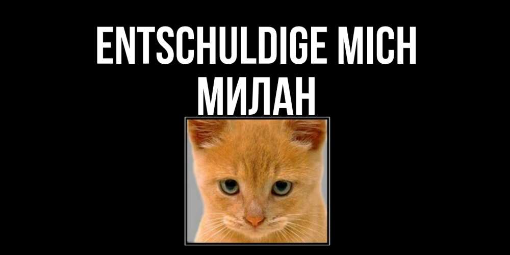 Открытка на каждый день с именем, Милан Entschuldige mich рыжий грустный кот просит прощения Прикольная открытка с пожеланием онлайн скачать бесплатно 