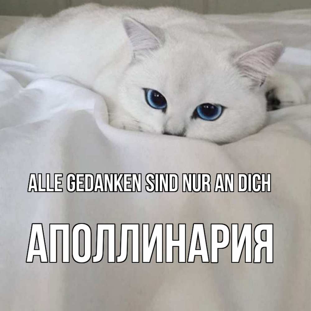 Открытка на каждый день с именем, Аполлинария Alle Gedanken sind nur an dich я очень по тебе скучаю и тоскую Прикольная открытка с пожеланием онлайн скачать бесплатно 