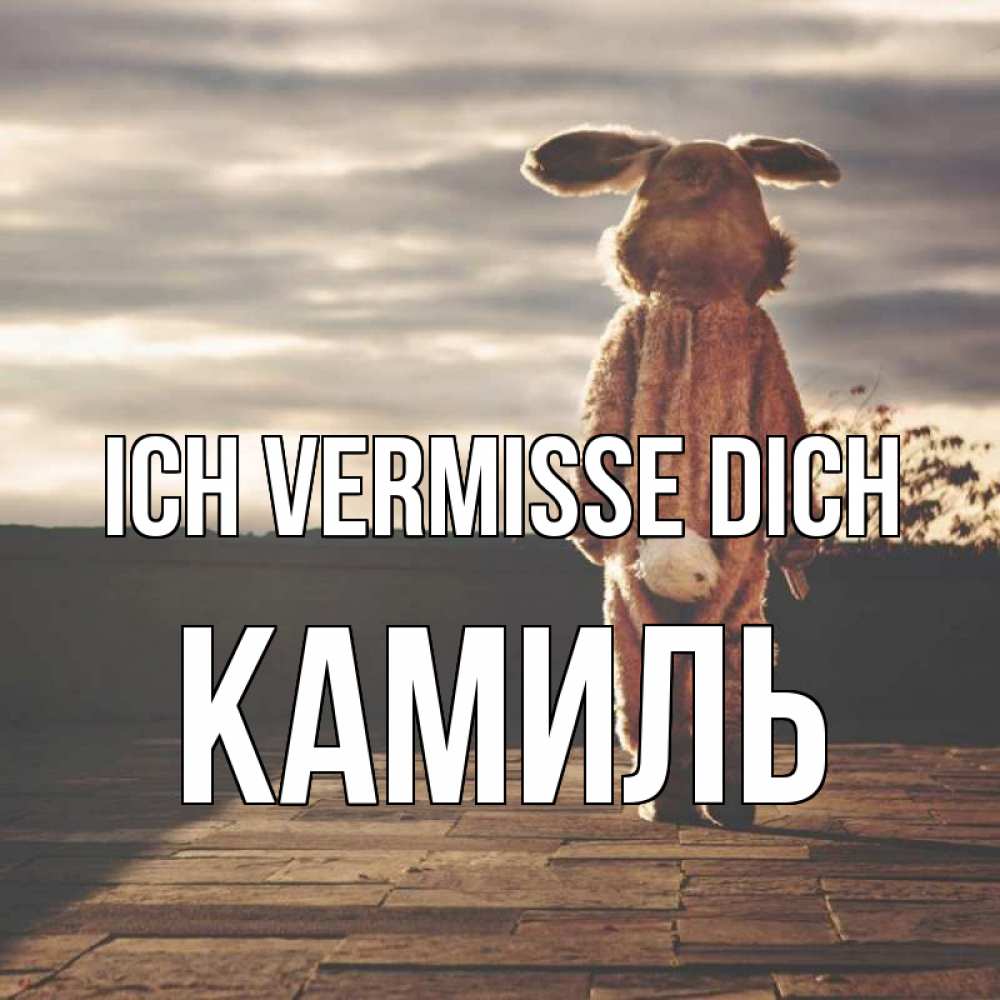 Открытка на каждый день с именем, Камиль Ich vermisse dich даже в костюме зайца Прикольная открытка с пожеланием онлайн скачать бесплатно 