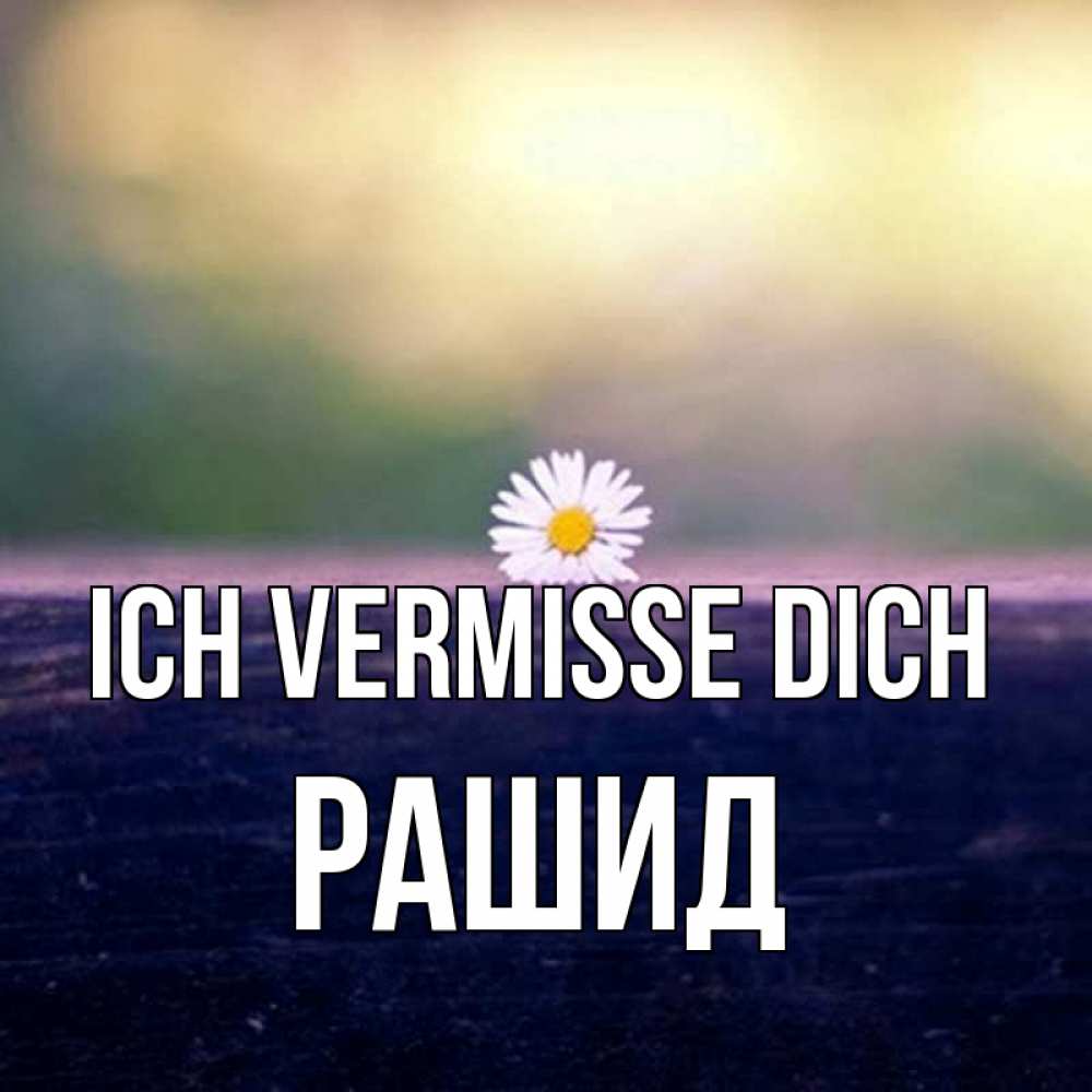 Открытка на каждый день с именем, Рашид Ich vermisse dich приходи в гости Прикольная открытка с пожеланием онлайн скачать бесплатно 