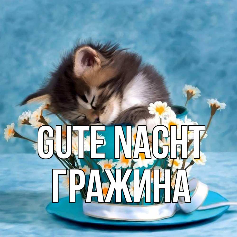 Открытка на каждый день с именем, Гражина Gute Nacht котенок спит в кружке с блюдцем Прикольная открытка с пожеланием онлайн скачать бесплатно 