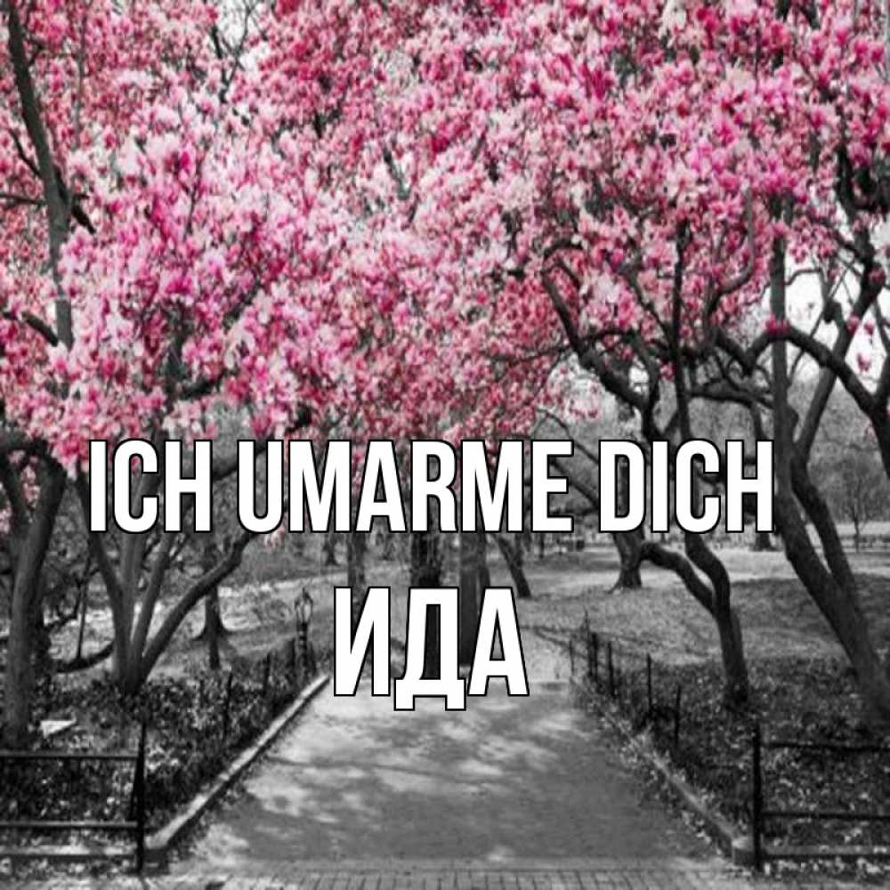 Открытка на каждый день с именем, Ида Ich umarme dich обработанное фото Прикольная открытка с пожеланием онлайн скачать бесплатно 