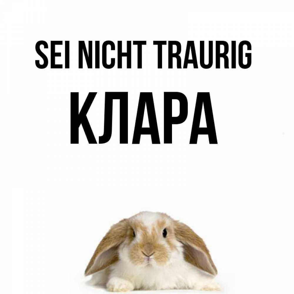 Открытка на каждый день с именем, Клара Sei nicht traurig коричнево белый заяц с большими ушками Прикольная открытка с пожеланием онлайн скачать бесплатно 