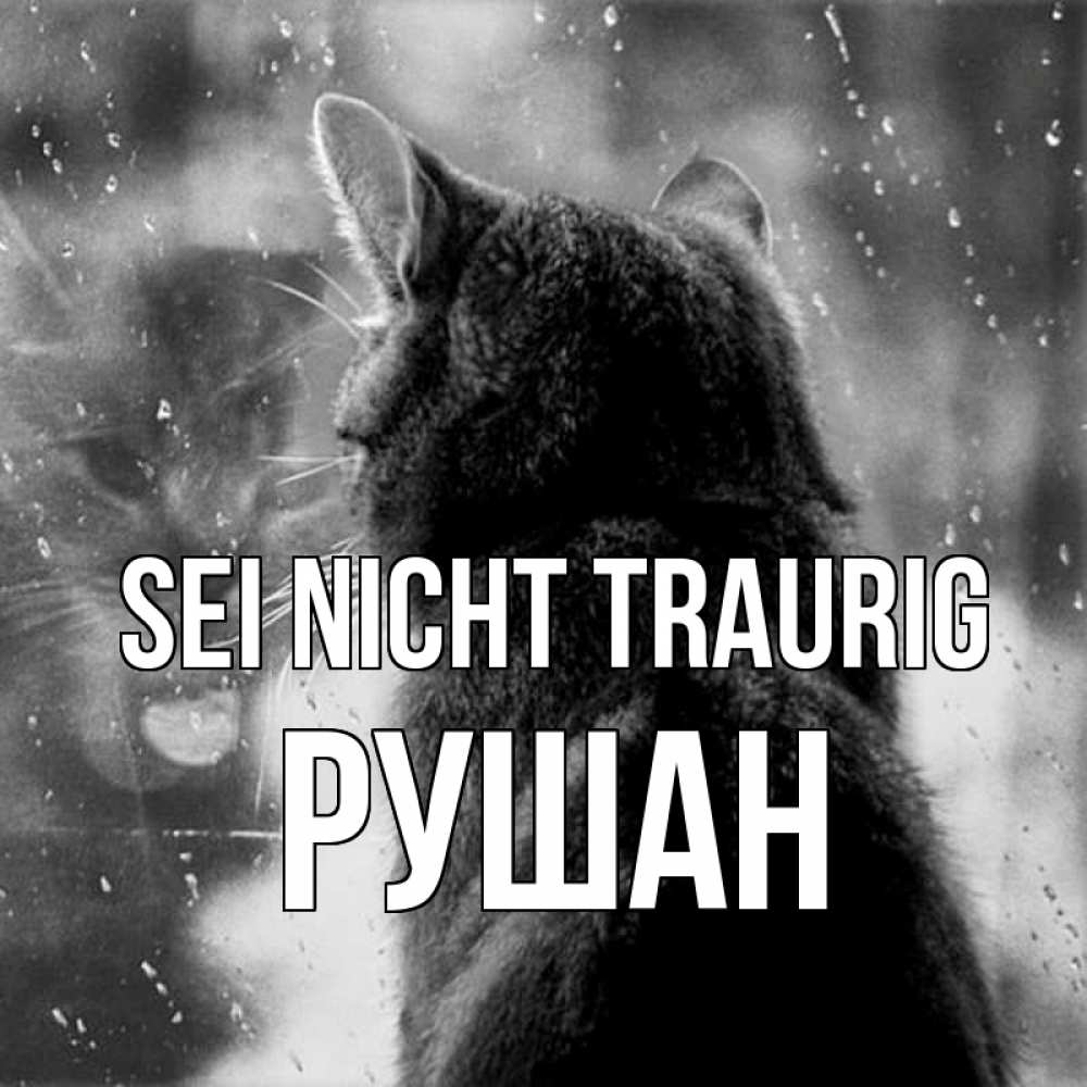 Открытка на каждый день с именем, Рушан Sei nicht traurig отражение кота 1 Прикольная открытка с пожеланием онлайн скачать бесплатно 