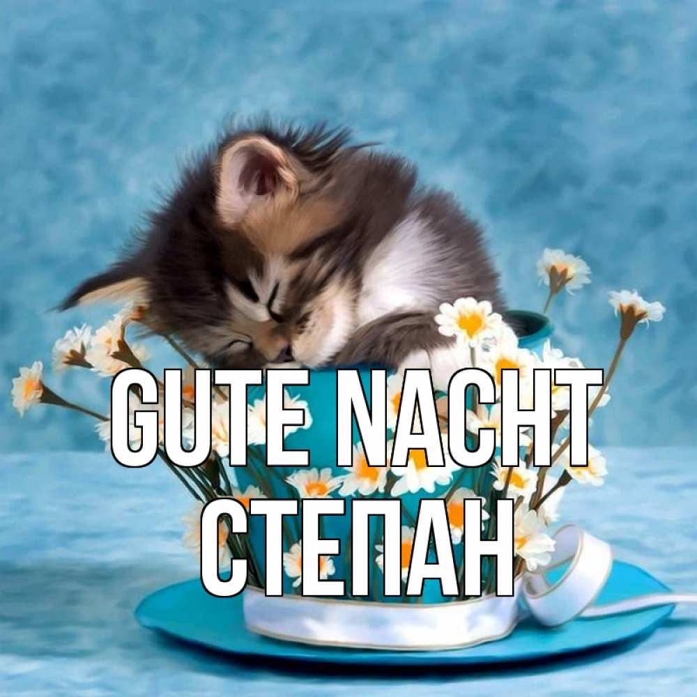 Открытка на каждый день с именем, Степан Gute Nacht котенок спит в кружке с блюдцем Прикольная открытка с пожеланием онлайн скачать бесплатно 