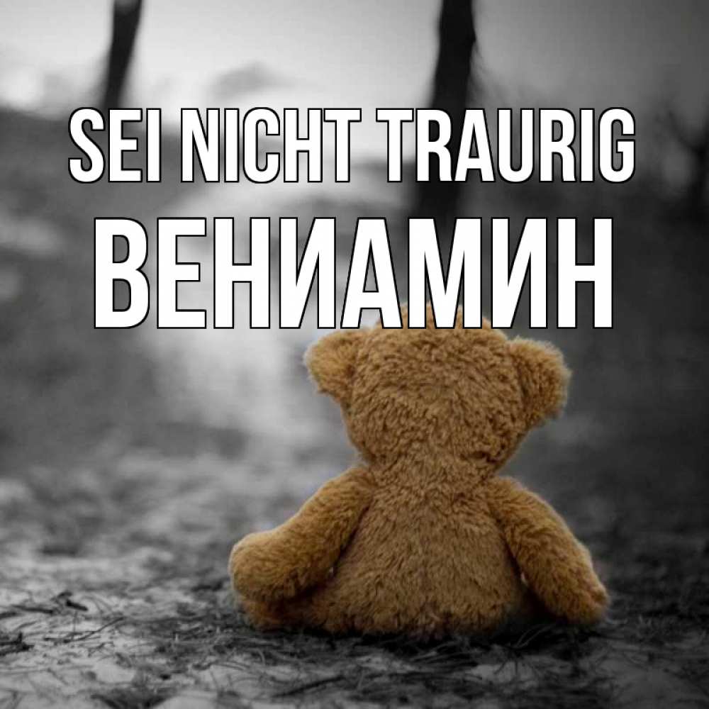 Открытка на каждый день с именем, Вениамин Sei nicht traurig медведь со спин Прикольная открытка с пожеланием онлайн скачать бесплатно 