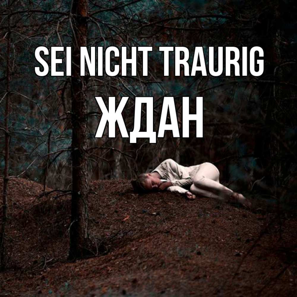 Открытка на каждый день с именем, Ждан Sei nicht traurig лес Прикольная открытка с пожеланием онлайн скачать бесплатно 