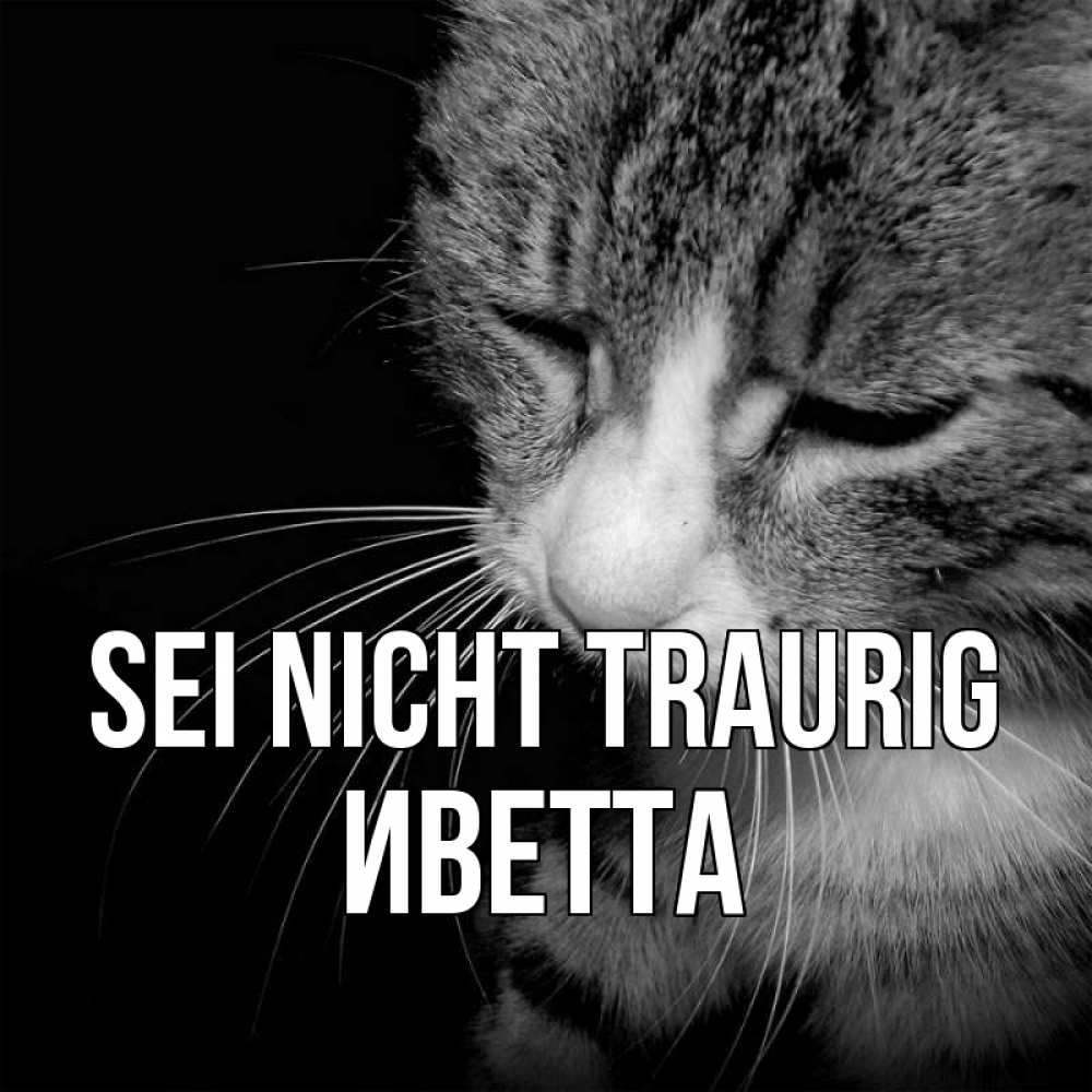 Открытка на каждый день с именем, Иветта Sei nicht traurig грустный котик Прикольная открытка с пожеланием онлайн скачать бесплатно 
