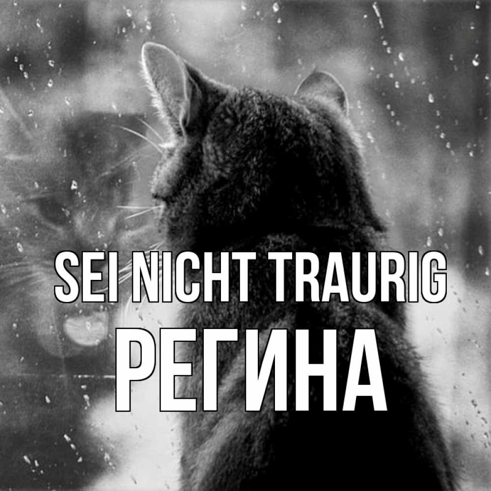Открытка на каждый день с именем, Регина Sei nicht traurig отражение кота 1 Прикольная открытка с пожеланием онлайн скачать бесплатно 