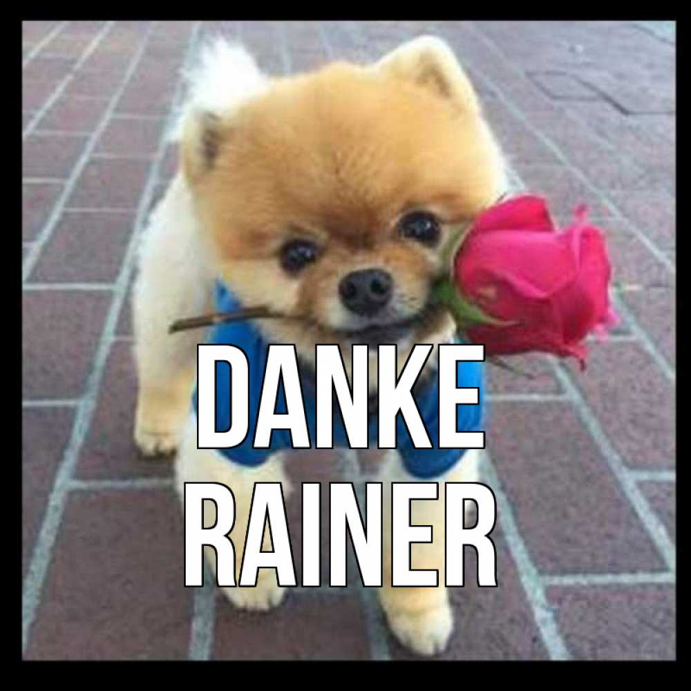 Открытка на каждый день с именем, Rainer Danke спасибо и дарю тебе цветок Прикольная открытка с пожеланием онлайн скачать бесплатно 