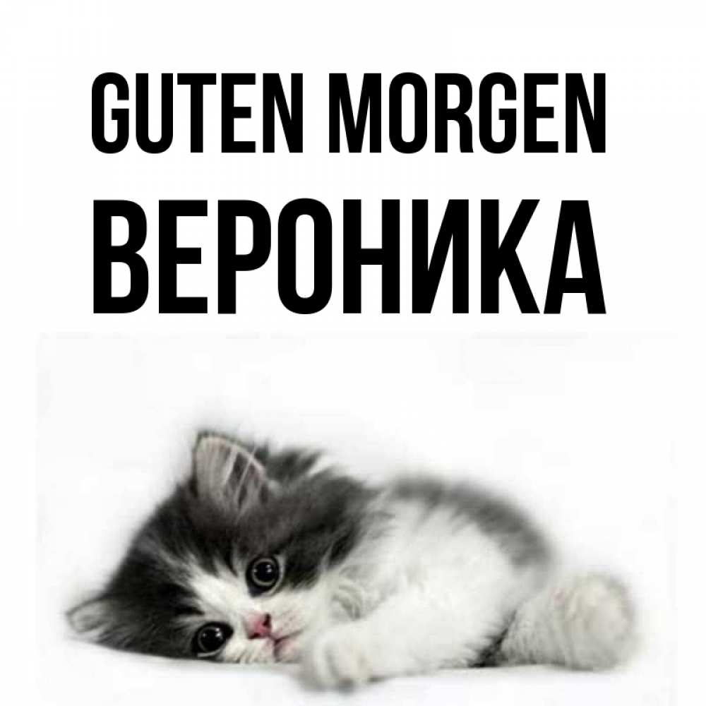 Открытка на каждый день с именем, Вероника Guten Morgen кот лапки Прикольная открытка с пожеланием онлайн скачать бесплатно 