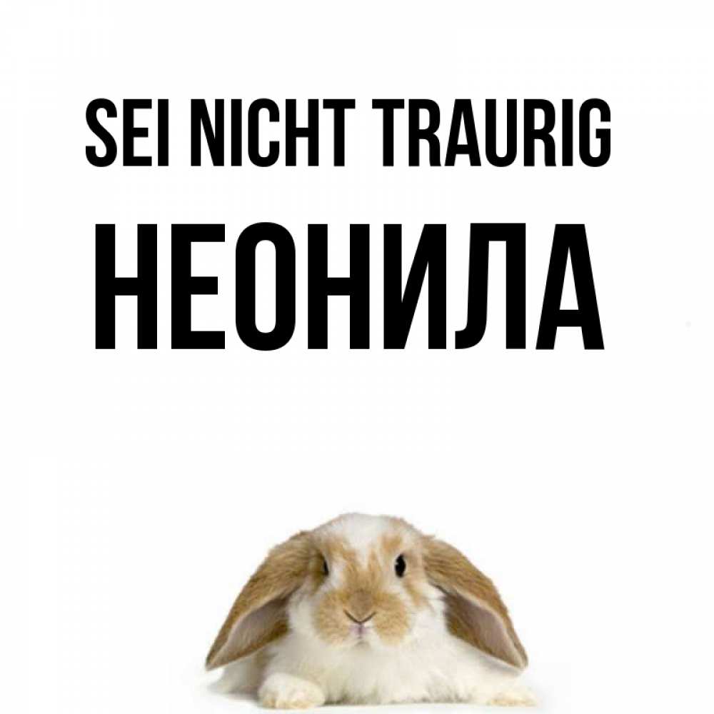 Открытка на каждый день с именем, Неонила Sei nicht traurig коричнево белый заяц с большими ушками Прикольная открытка с пожеланием онлайн скачать бесплатно 