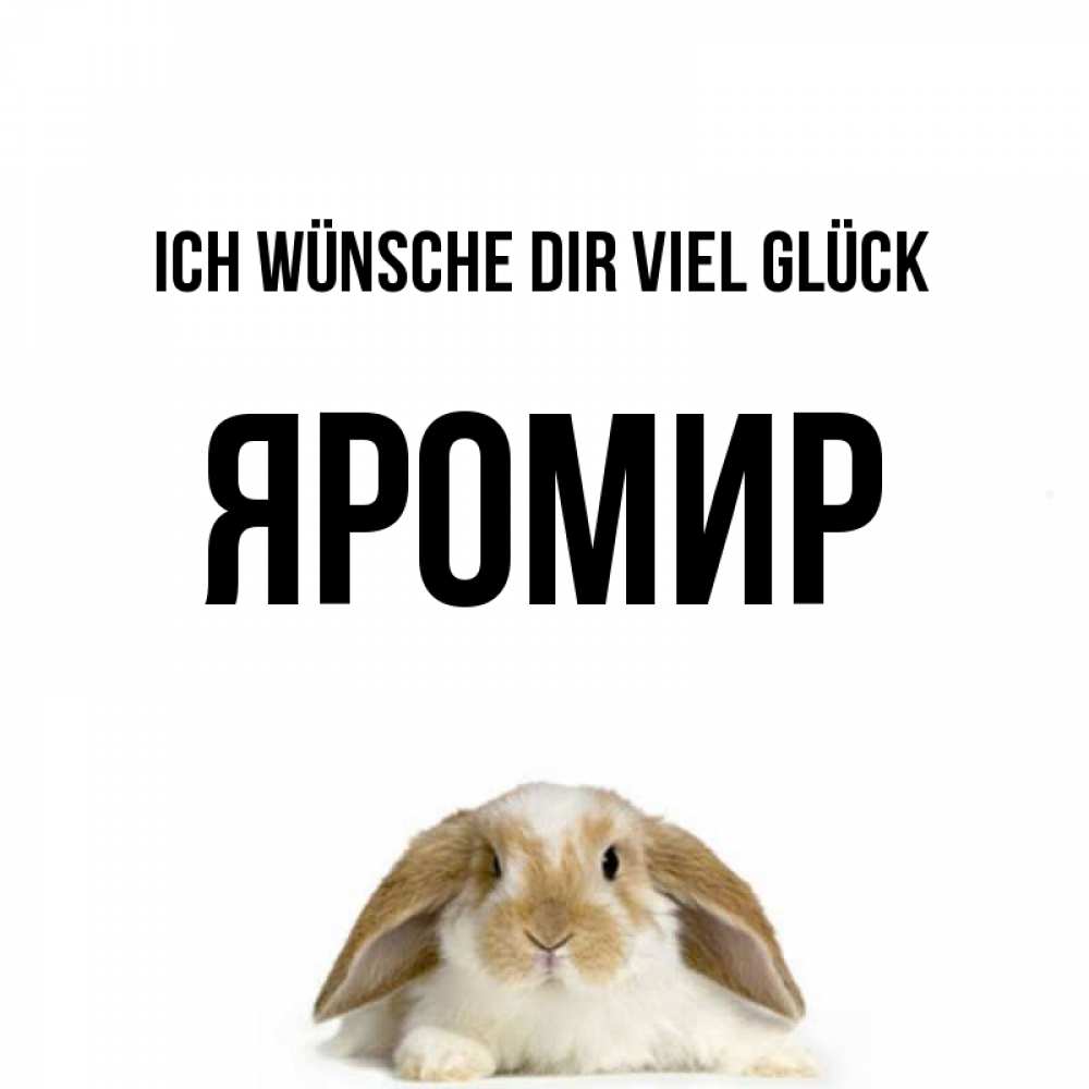 Открытка на каждый день с именем, Яромир Ich wünsche dir viel Glück открытки с произвольным текстом который можно вставить в открытку и создать ее самостоятельно бесплатно онлайн Прикольная открытка с пожеланием онлайн скачать бесплатно 