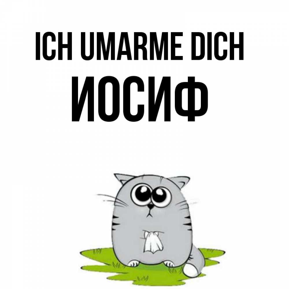 Открытка на каждый день с именем, Иосиф Ich umarme dich котик теребит платочек сидя на травке Прикольная открытка с пожеланием онлайн скачать бесплатно 