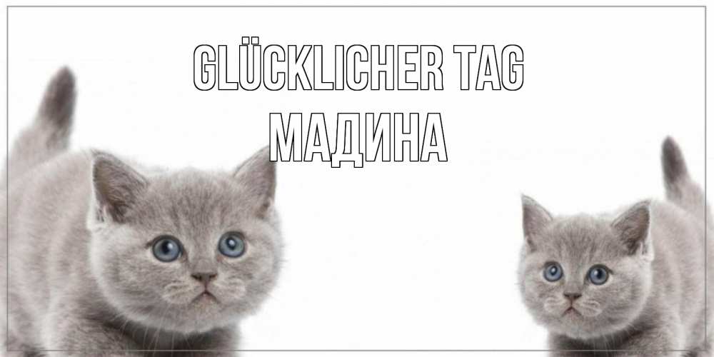 Открытка на каждый день с именем, Мадина Glücklicher Tag открытка с котами Прикольная открытка с пожеланием онлайн скачать бесплатно 