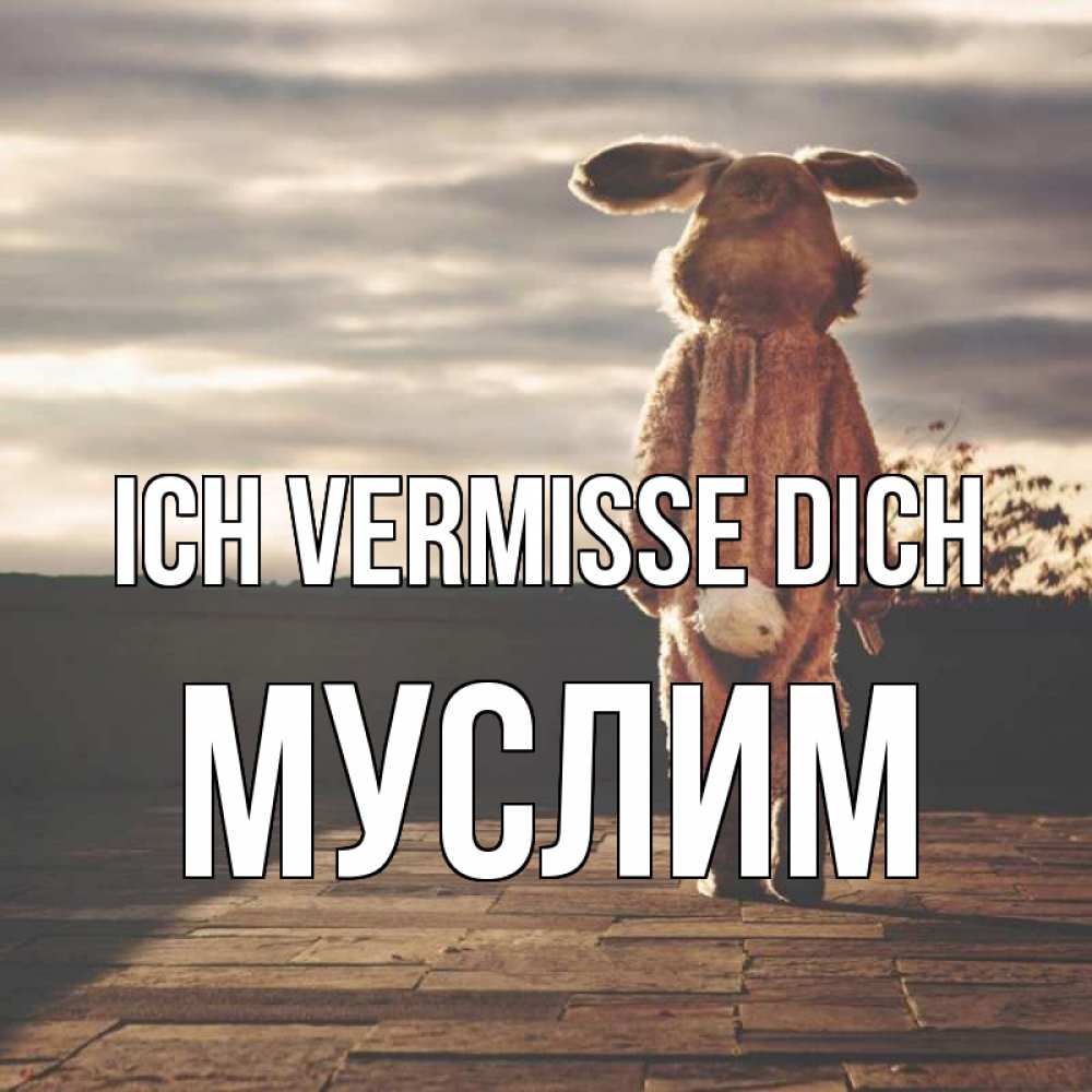 Открытка на каждый день с именем, Муслим Ich vermisse dich даже в костюме зайца Прикольная открытка с пожеланием онлайн скачать бесплатно 