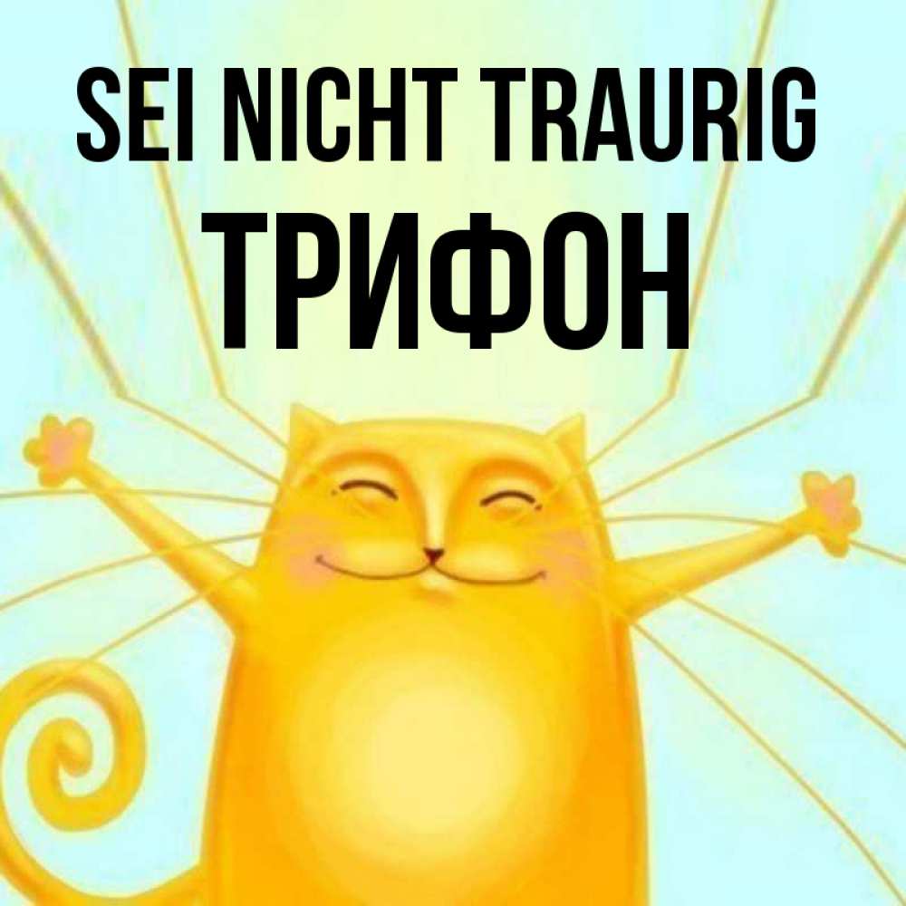 Открытка на каждый день с именем, Трифон Sei nicht traurig обнимашки усатые Прикольная открытка с пожеланием онлайн скачать бесплатно 