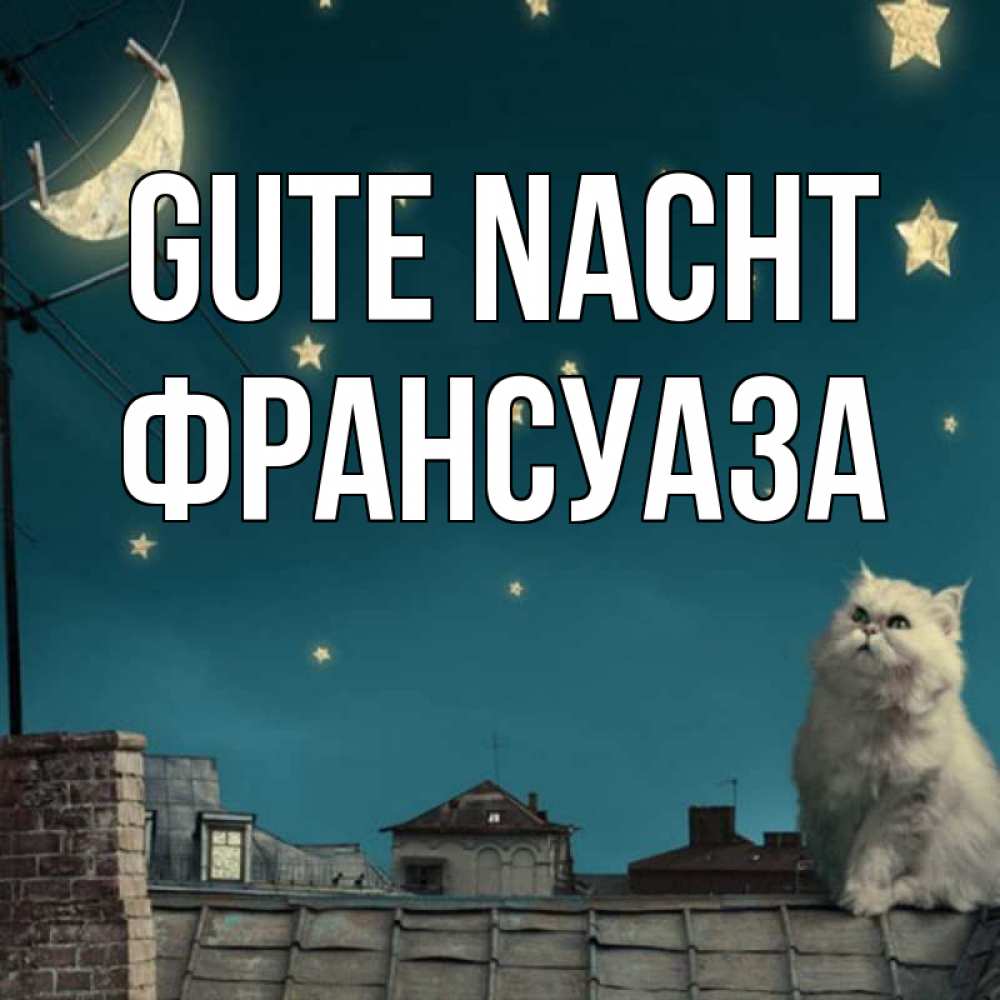 Открытка на каждый день с именем, Франсуаза Gute Nacht белый кот сидит на крыше Прикольная открытка с пожеланием онлайн скачать бесплатно 