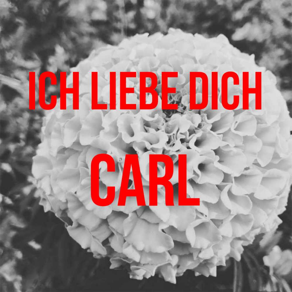Открытка на каждый день с именем, Carl Ich liebe dich подпись Прикольная открытка с пожеланием онлайн скачать бесплатно 