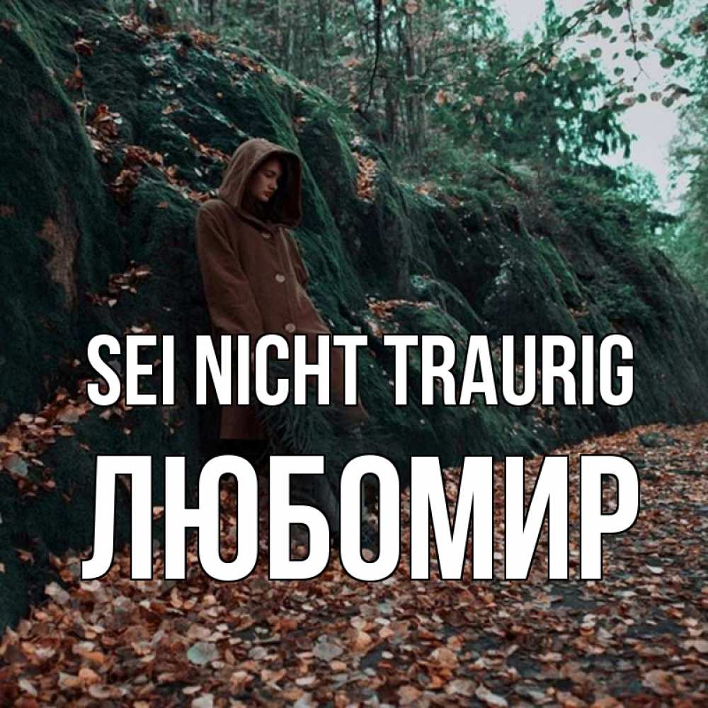 Открытка на каждый день с именем, Любомир Sei nicht traurig осенний лес Прикольная открытка с пожеланием онлайн скачать бесплатно 