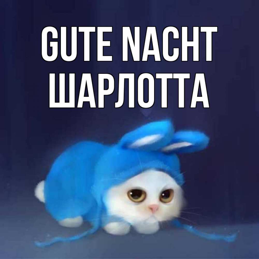 Открытка на каждый день с именем, Шарлотта Gute Nacht кот в голубом костюме кролика с ушками Прикольная открытка с пожеланием онлайн скачать бесплатно 