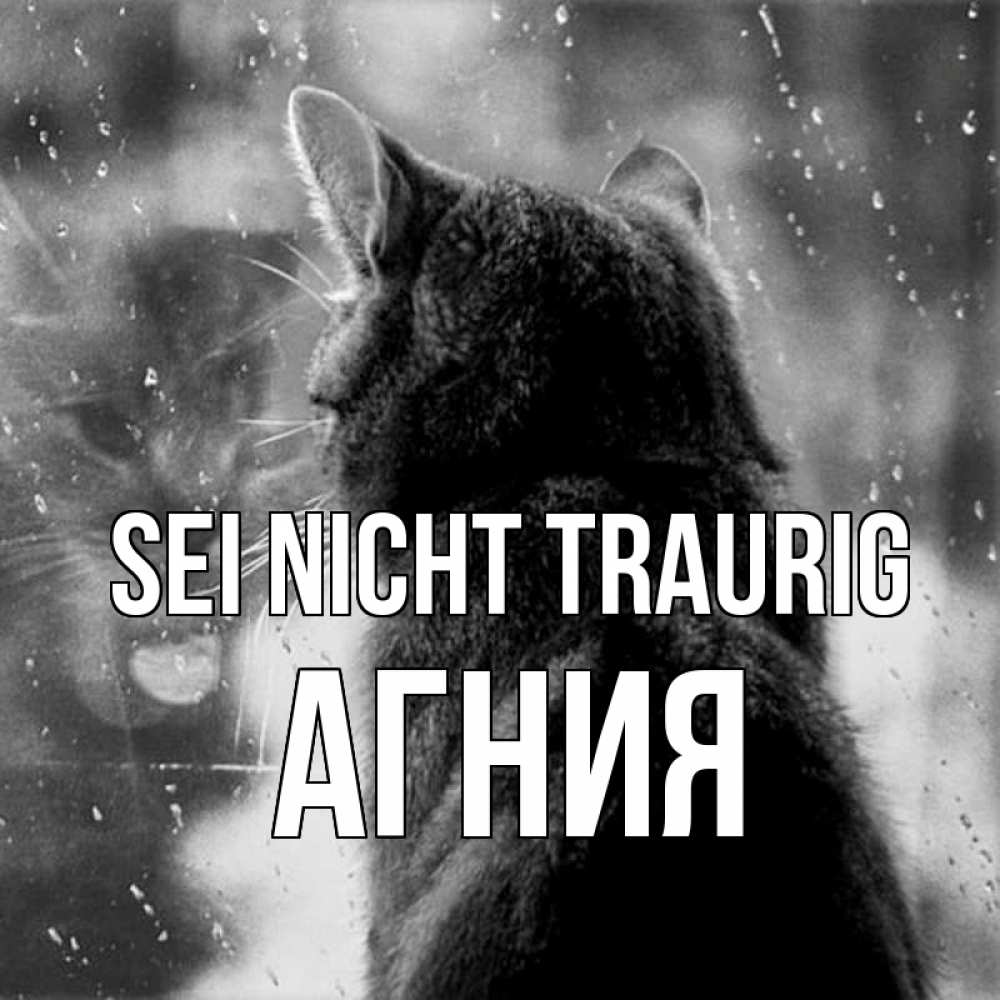 Открытка на каждый день с именем, Агния Sei nicht traurig отражение кота 1 Прикольная открытка с пожеланием онлайн скачать бесплатно 