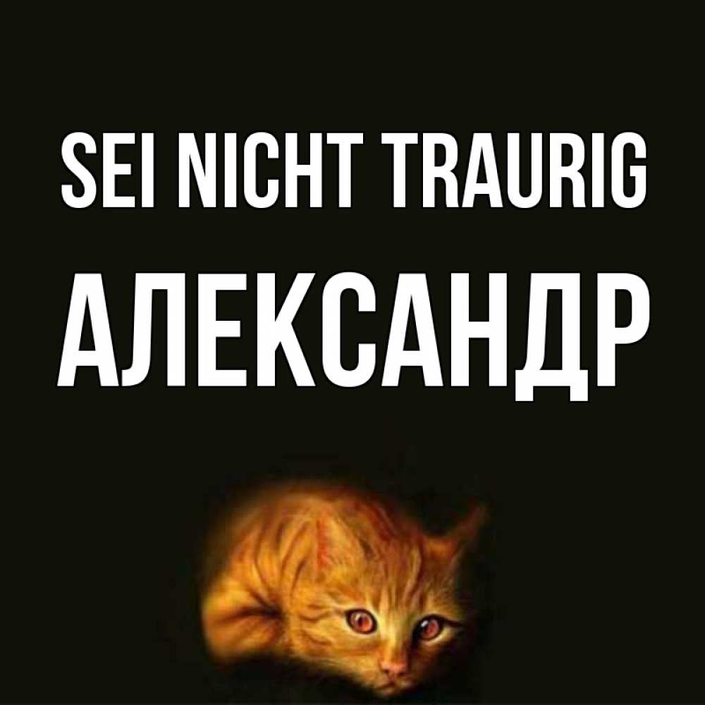 Открытка на каждый день с именем, Александр Sei nicht traurig лежащий кот в темноте Прикольная открытка с пожеланием онлайн скачать бесплатно 