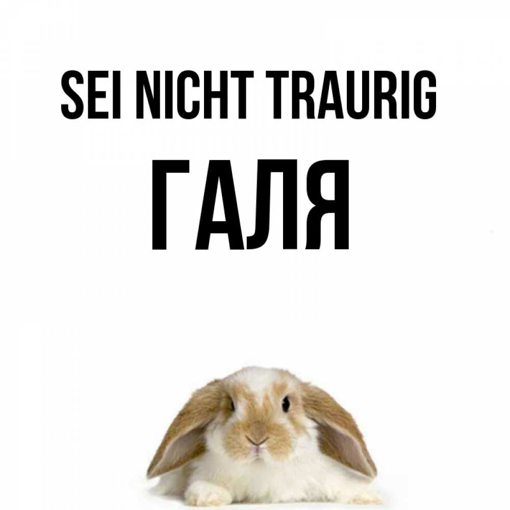 Открытка на каждый день с именем, Галя Sei nicht traurig коричнево белый заяц с большими ушками Прикольная открытка с пожеланием онлайн скачать бесплатно 
