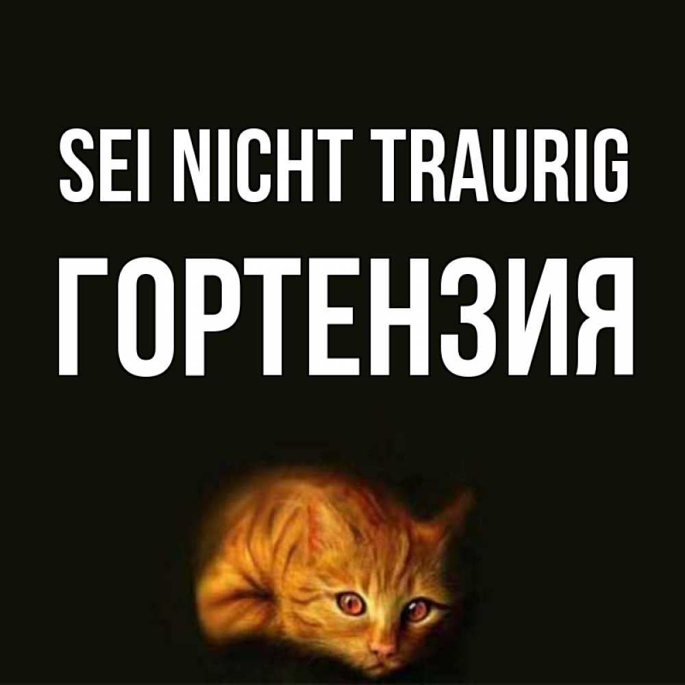 Открытка на каждый день с именем, Гортензия Sei nicht traurig лежащий кот в темноте Прикольная открытка с пожеланием онлайн скачать бесплатно 