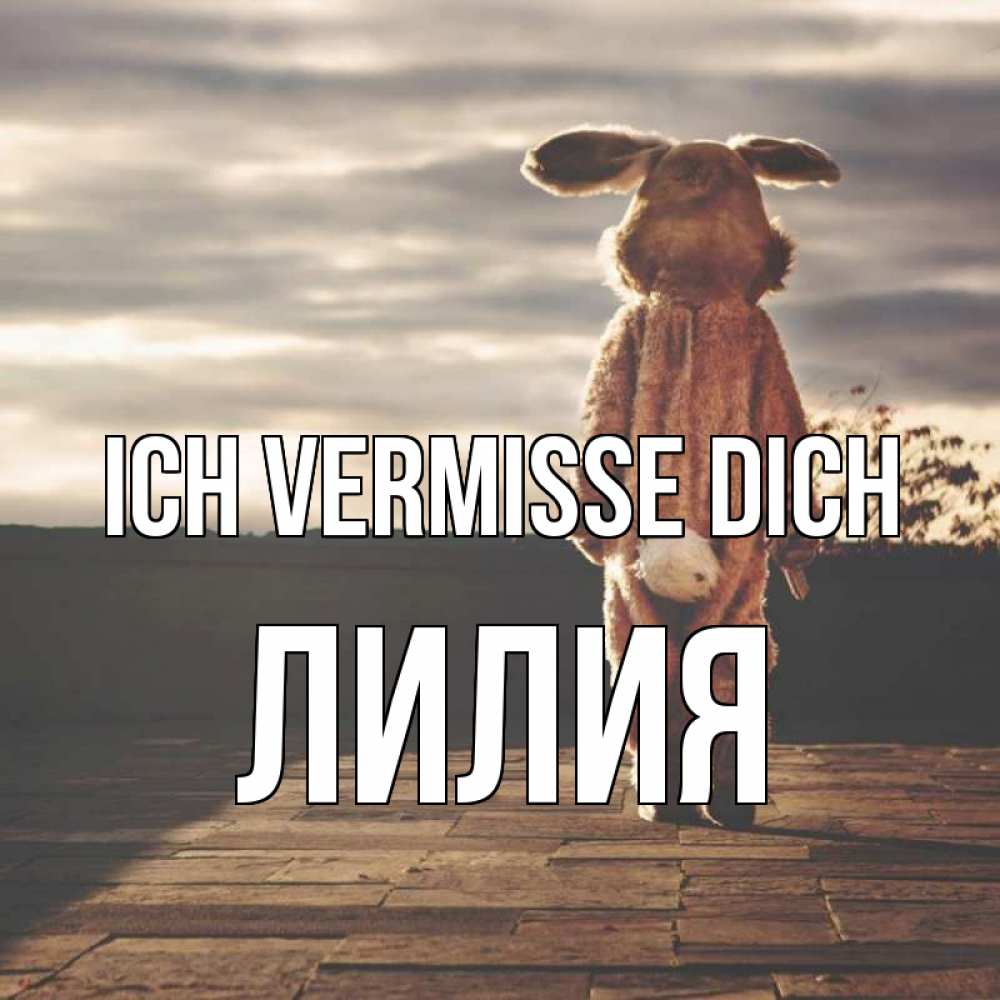 Открытка на каждый день с именем, Лилия Ich vermisse dich даже в костюме зайца Прикольная открытка с пожеланием онлайн скачать бесплатно 