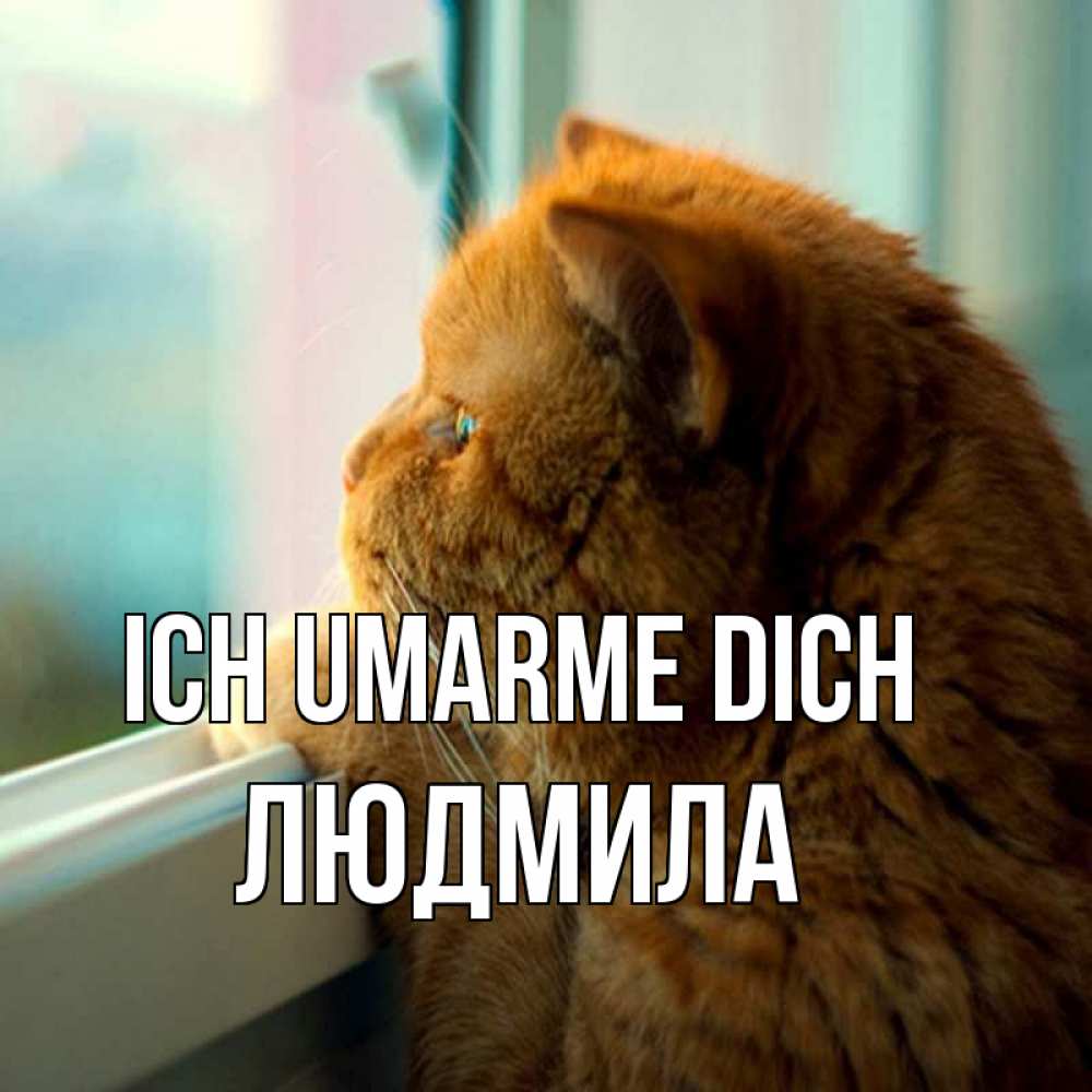 Открытка на каждый день с именем, Людмила Ich umarme dich большой огромный рыжий котяра Прикольная открытка с пожеланием онлайн скачать бесплатно 
