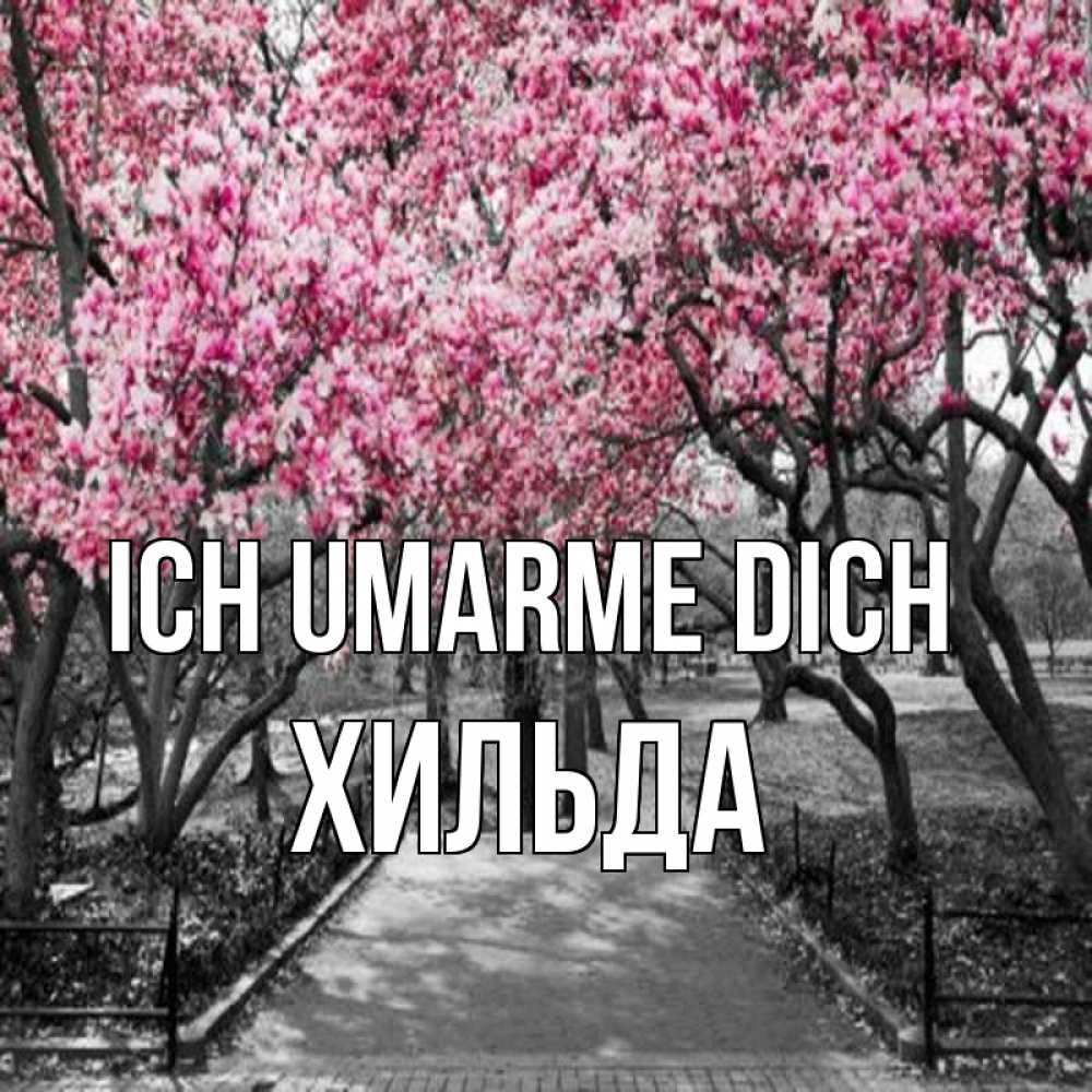 Открытка на каждый день с именем, Хильда Ich umarme dich обработанное фото Прикольная открытка с пожеланием онлайн скачать бесплатно 