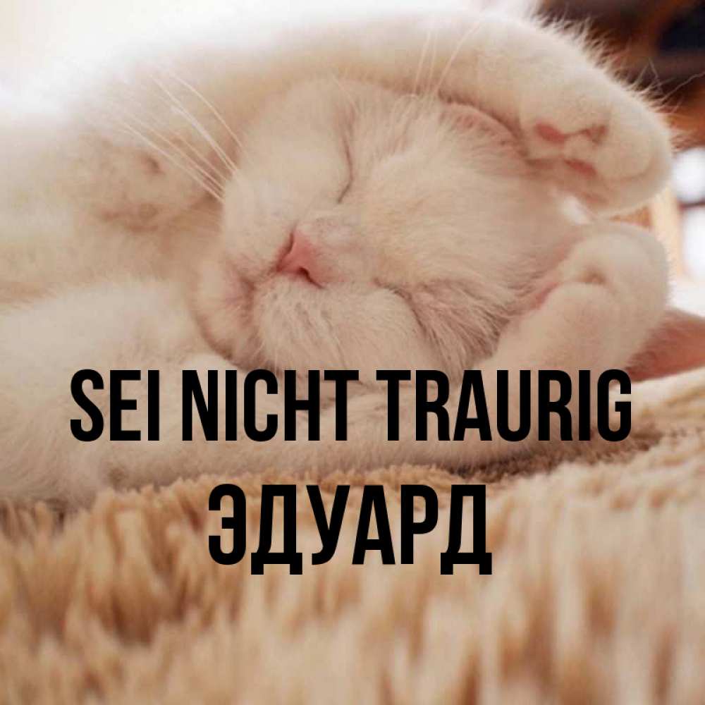 Открытка на каждый день с именем, Эдуард Sei nicht traurig Котенок спит Прикольная открытка с пожеланием онлайн скачать бесплатно 
