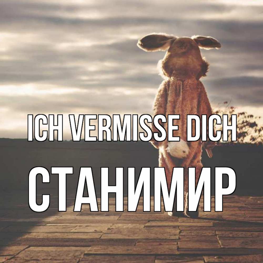 Открытка на каждый день с именем, Станимир Ich vermisse dich даже в костюме зайца Прикольная открытка с пожеланием онлайн скачать бесплатно 