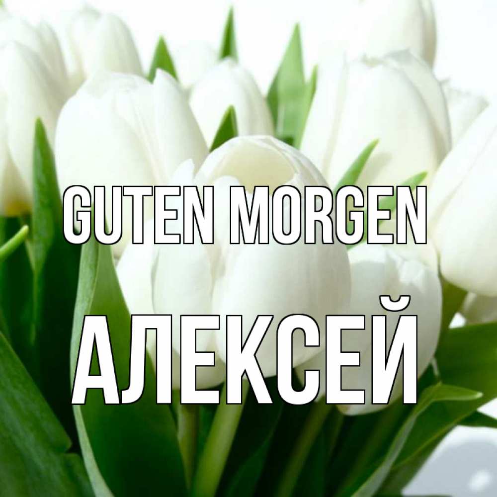 Открытка на каждый день с именем, Алексей Guten Morgen открытки на каждый день по именам Прикольная открытка с пожеланием онлайн скачать бесплатно 