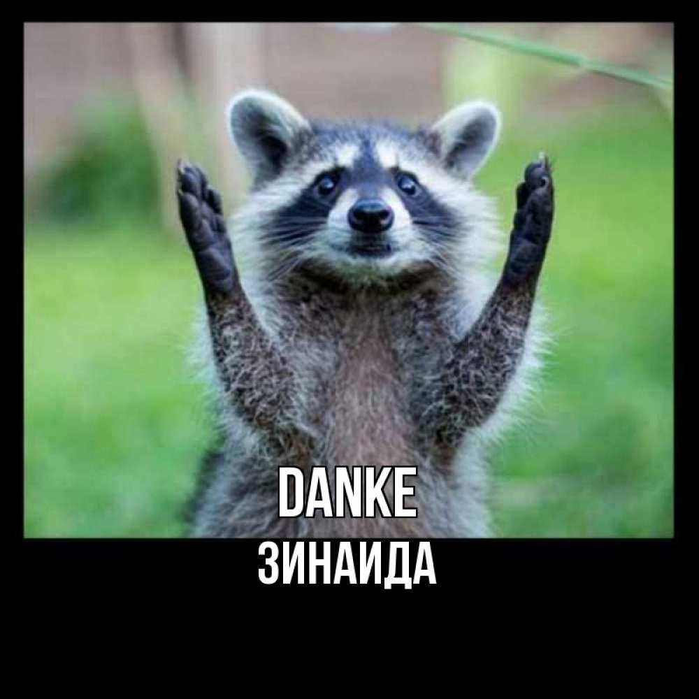 Открытка на каждый день с именем, Зинаида Danke милые животные Прикольная открытка с пожеланием онлайн скачать бесплатно 