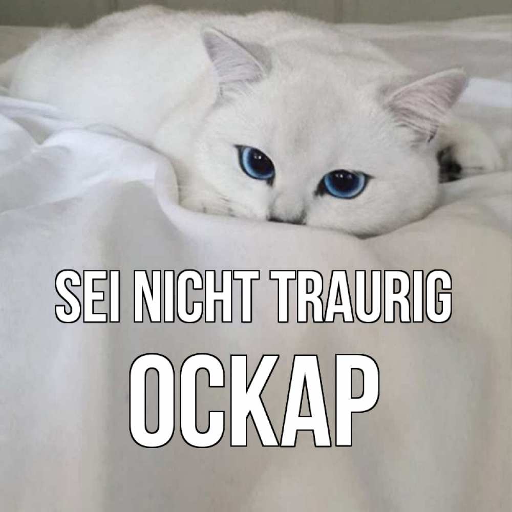 Открытка на каждый день с именем, Оскар Sei nicht traurig белый кот с голубыми глазами на белоснежной кровати Прикольная открытка с пожеланием онлайн скачать бесплатно 