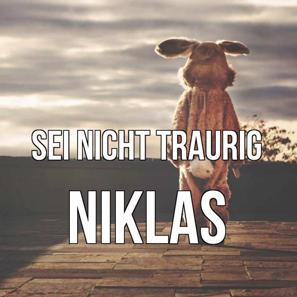 Открытка на каждый день с именем, Niklas Sei nicht traurig со спины Прикольная открытка с пожеланием онлайн скачать бесплатно 