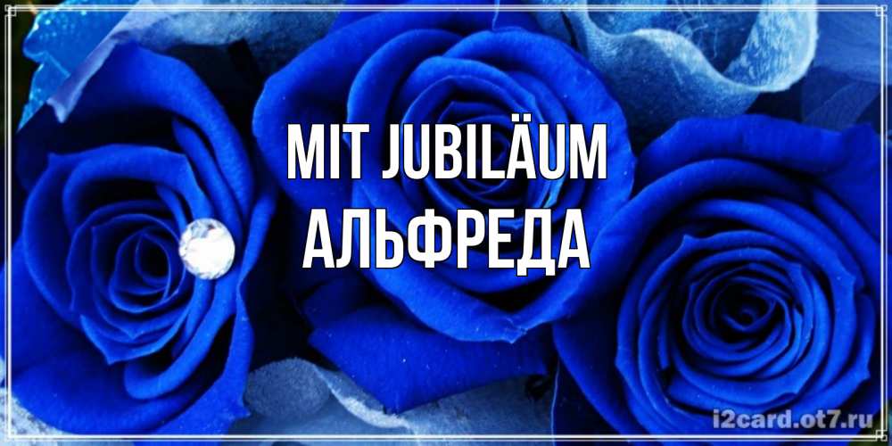Открытка на каждый день с именем, Альфреда Mit Jubiläum синие розы в росе Прикольная открытка с пожеланием онлайн скачать бесплатно 