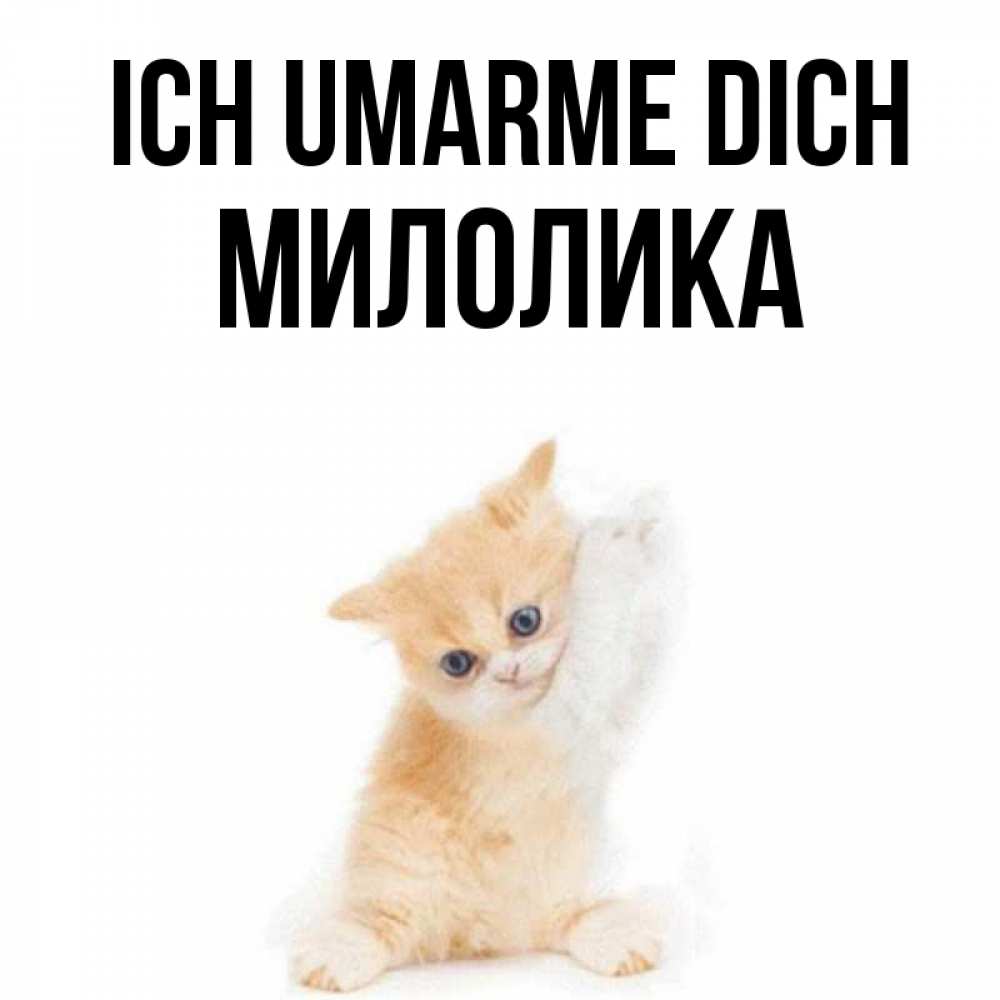 Открытка на каждый день с именем, Милолика Ich umarme dich я хочу очень скорее обнимаешек Прикольная открытка с пожеланием онлайн скачать бесплатно 