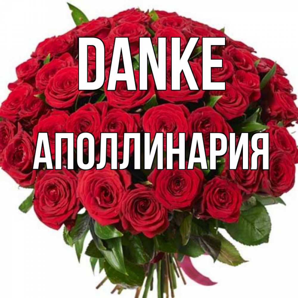Открытка на каждый день с именем, Аполлинария Danke букет красных роз Прикольная открытка с пожеланием онлайн скачать бесплатно 