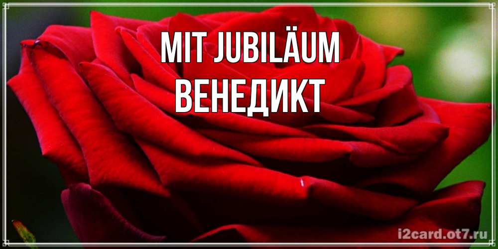 Открытка на каждый день с именем, Венедикт Mit Jubiläum розочка очень красивая Прикольная открытка с пожеланием онлайн скачать бесплатно 