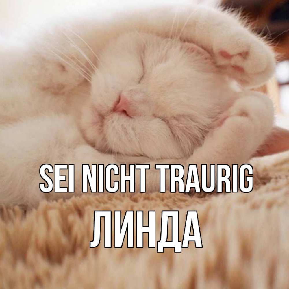 Открытка на каждый день с именем, Линда Sei nicht traurig белый кот Прикольная открытка с пожеланием онлайн скачать бесплатно 