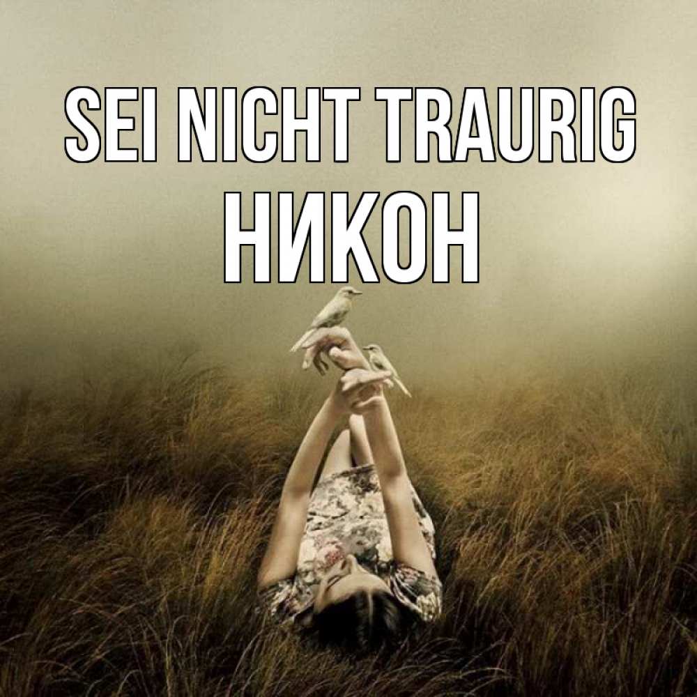 Открытка на каждый день с именем, Никон Sei nicht traurig поле и туман Прикольная открытка с пожеланием онлайн скачать бесплатно 