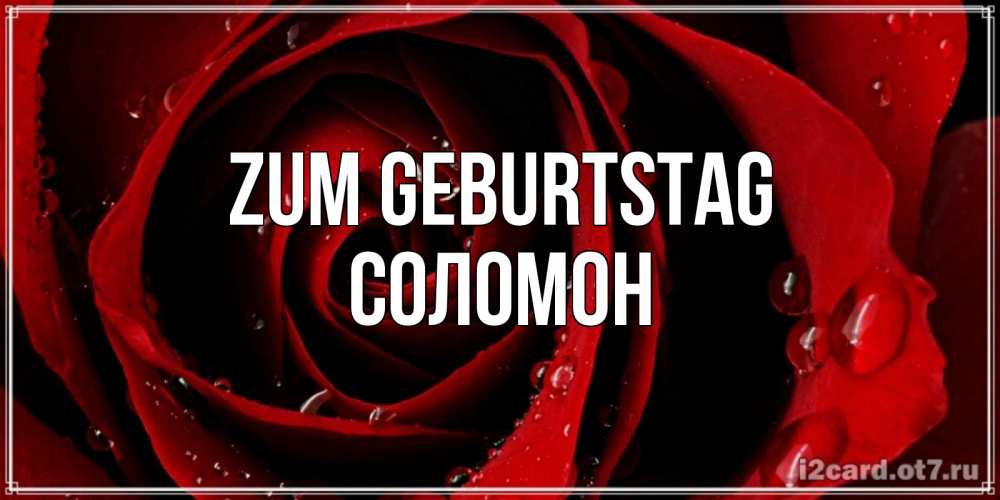 Открытка на каждый день с именем, Соломон Zum Geburtstag крупная бордовая роза Прикольная открытка с пожеланием онлайн скачать бесплатно 