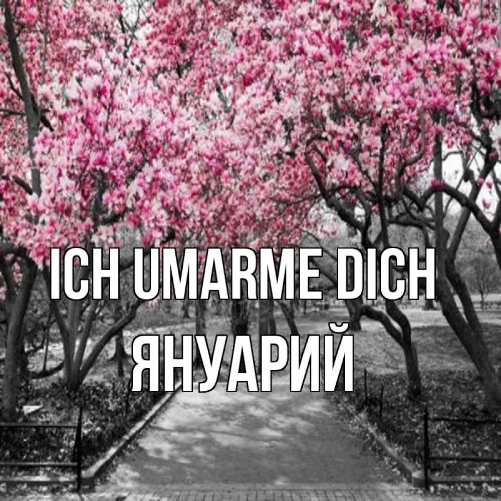 Открытка на каждый день с именем, Януарий Ich umarme dich обработанное фото Прикольная открытка с пожеланием онлайн скачать бесплатно 