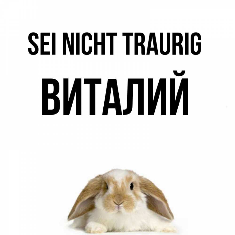 Открытка на каждый день с именем, Виталий Sei nicht traurig коричнево белый заяц с большими ушками Прикольная открытка с пожеланием онлайн скачать бесплатно 