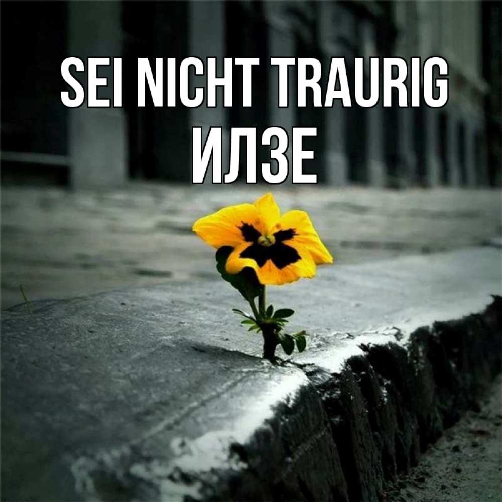 Открытка на каждый день с именем, Илзе Sei nicht traurig не сдавайся Прикольная открытка с пожеланием онлайн скачать бесплатно 