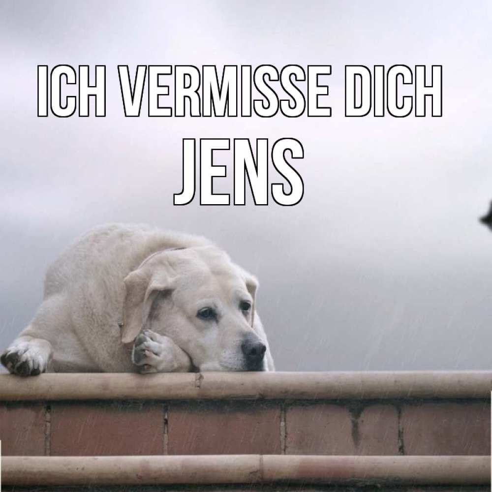 Открытка на каждый день с именем, Jens Ich vermisse dich ждет Прикольная открытка с пожеланием онлайн скачать бесплатно 